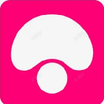 蘑菇短视频乐园 - 爆款短片集合